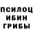 Псилоцибиновые грибы GOLDEN TEACHER Duby Duck