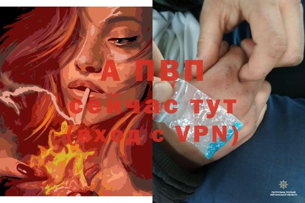стаф Нефтекумск