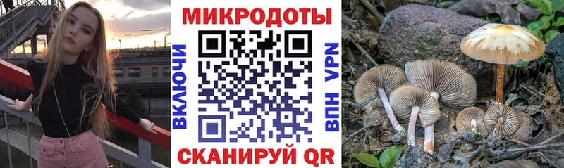 Галлюциногенные грибы Cubensis  Усть-Катав 
